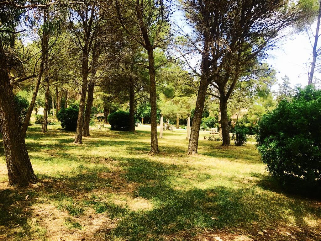 Private Villas Puerto Pollensa For Family Groups, Private Mountain Ideal For Runners, Trailers, Hikers, It Is Approximately 3 Minute Walk From The Beach Bagian luar foto